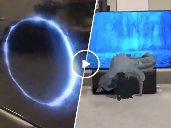 This is called Augmented reality and it can GTFO (Video)