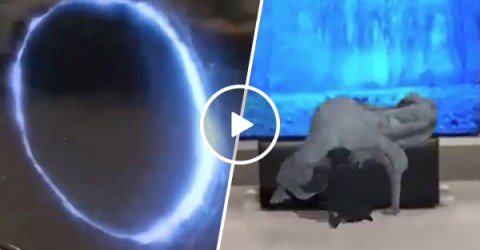 This is called Augmented reality and it can GTFO (Video)