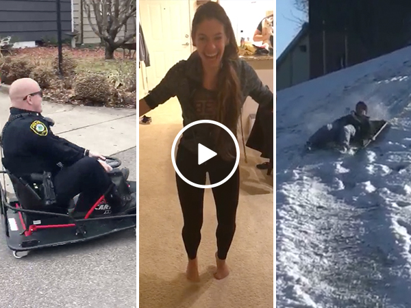 Go-carting cops, nut shots, and more top User Submits of January