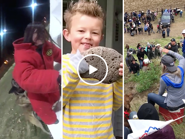 The $5000 user submitted video winner and top 5 videos of 2017!