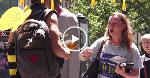 Woman trying to Save The Bees gets thanks from a man dressed a a bee