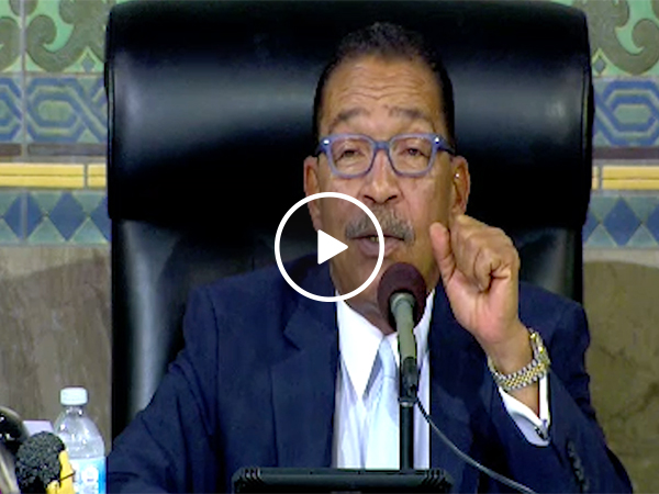 Two Surfer Guys Give Ideas To Los Angeles City Council