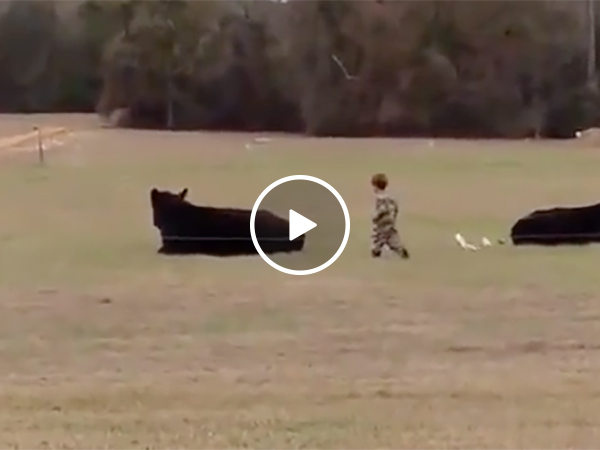 Guy bet a Kid Money He Couldn't Jump on a Cow and the Kid Did It