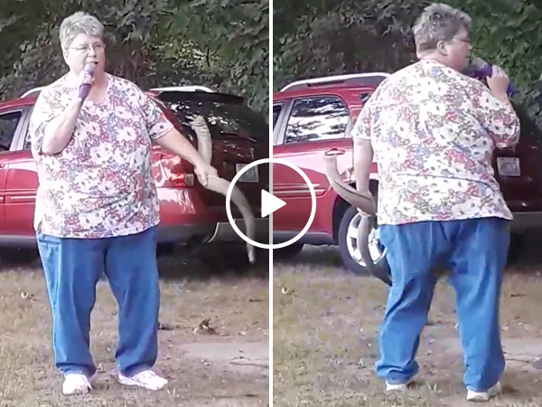 Missy Elliott would very much approve of this cover of "work it"