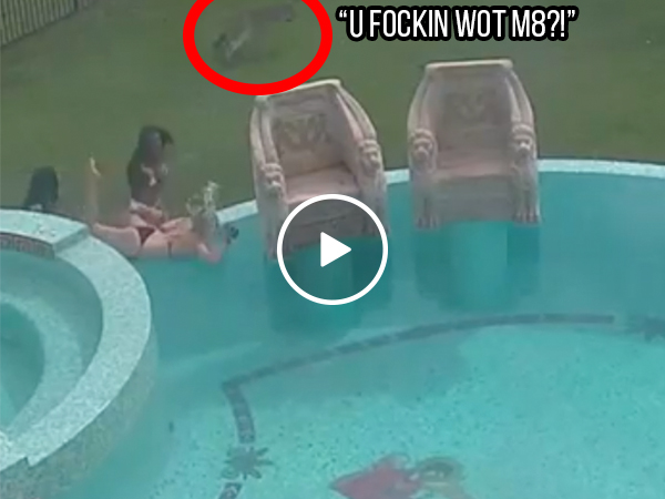 Kangaroo terrorizes bikini-clad models, because Australia (Video)