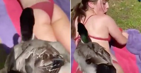 You're hot? Failure gives less than zero sh*ts (16 GIFs)