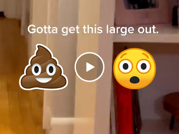 Kid does hilarious play by play while on the toilet (VIDEO)