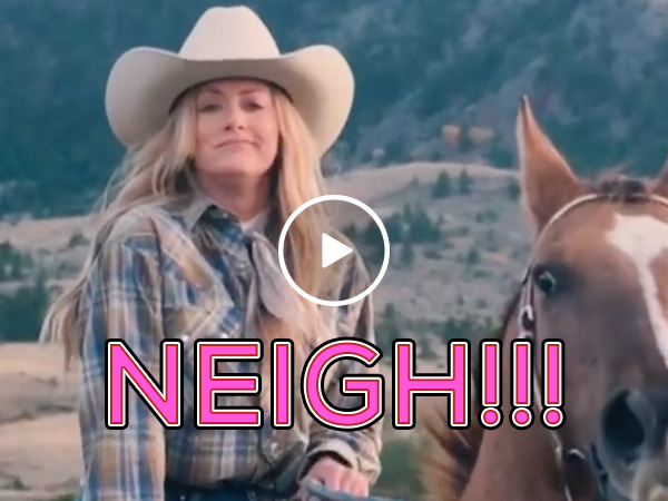 Interrupting horse wh... NEIGH!!!! (Video)